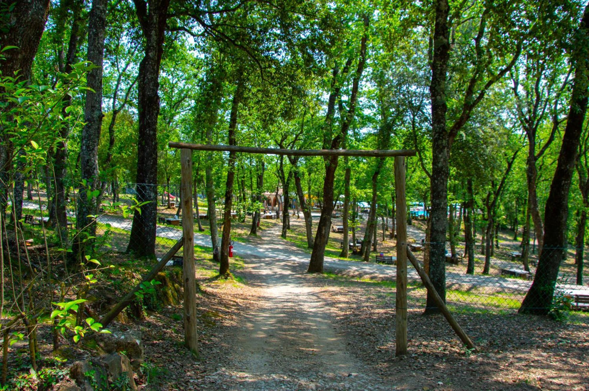 Luxor Chianti Glamping Village 카스텔리나인키안티 외부 사진